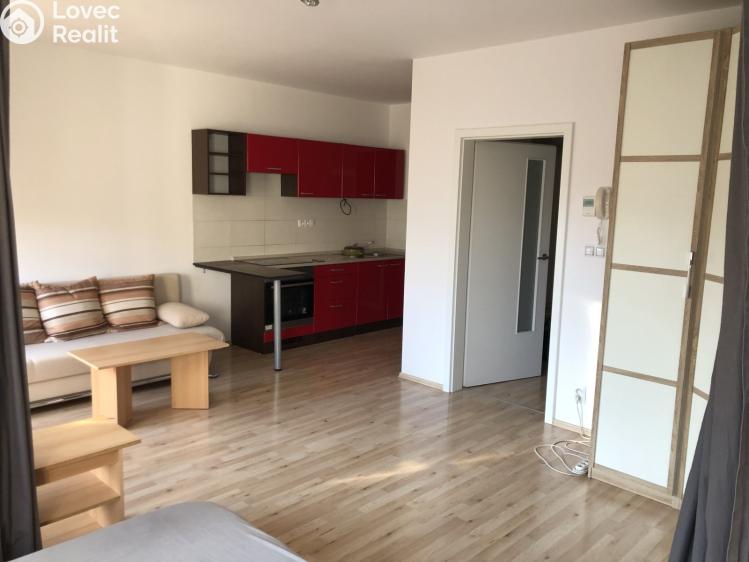 Pronájem bytu 1+KK Brno, Řípská č. 2