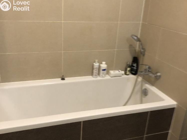 Pronájem bytu 1+KK Brno, Řípská č. 7