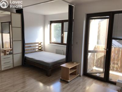 Pronájem bytu 1+KK Brno, Řípská č. 1