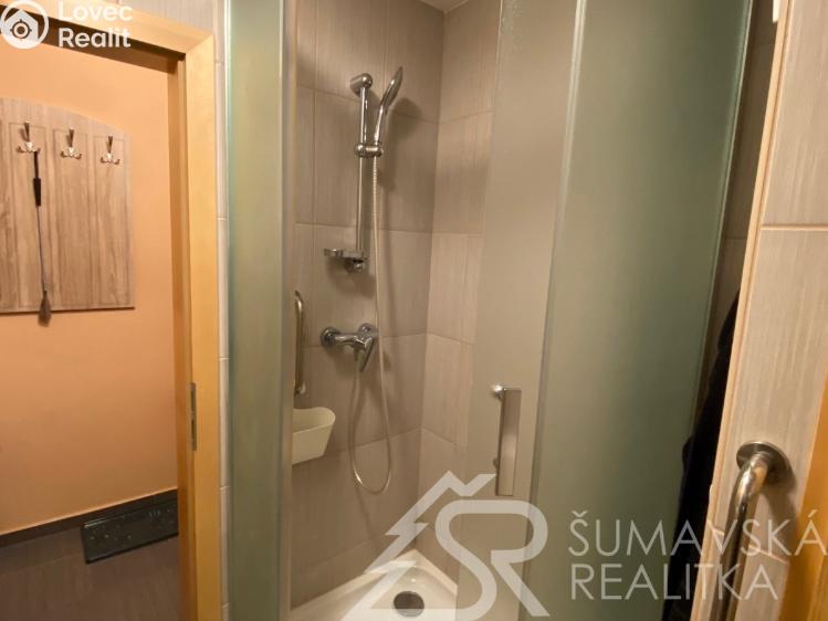 Аренда квартиры 1+1 Sušice, Volšovská 861 č. 9