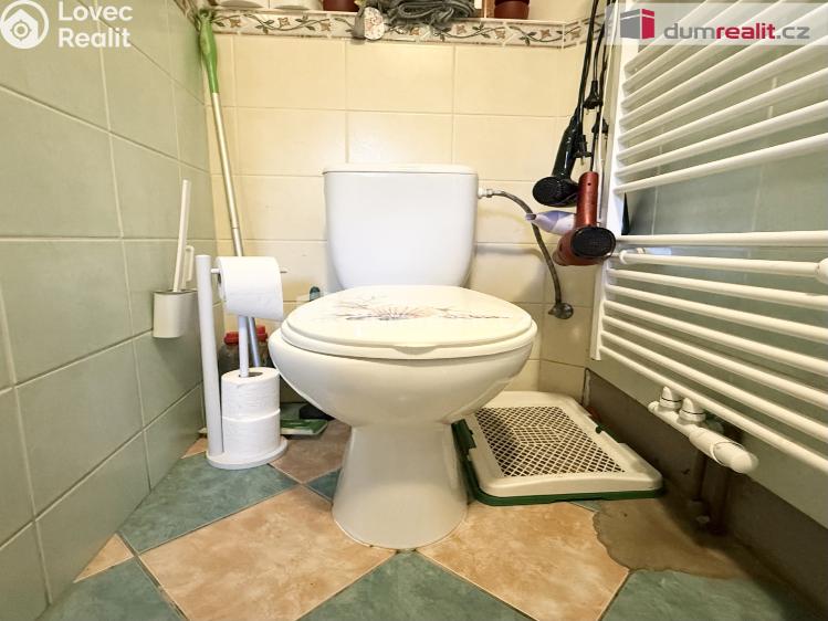 Rent family house Jenčice č. 6