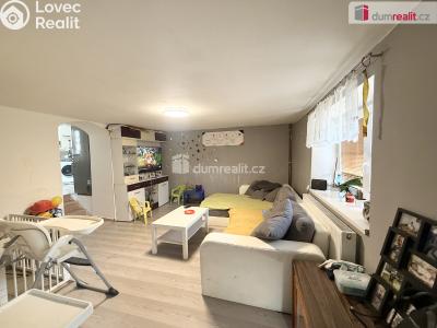 Rent family house Jenčice č. 2