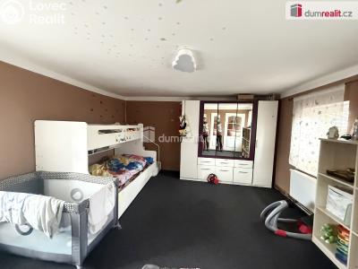 Rent family house Jenčice č. 3