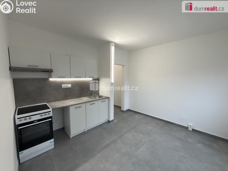 Pronájem bytu 1+KK Ústí nad Labem, Glennova č. 3