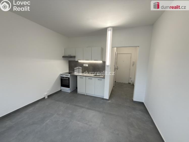 Pronájem bytu 1+KK Ústí nad Labem, Glennova č. 4