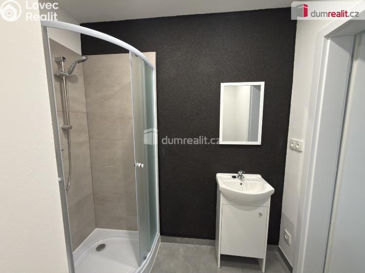 Pronájem bytu 1+KK Ústí nad Labem, Glennova č. 7