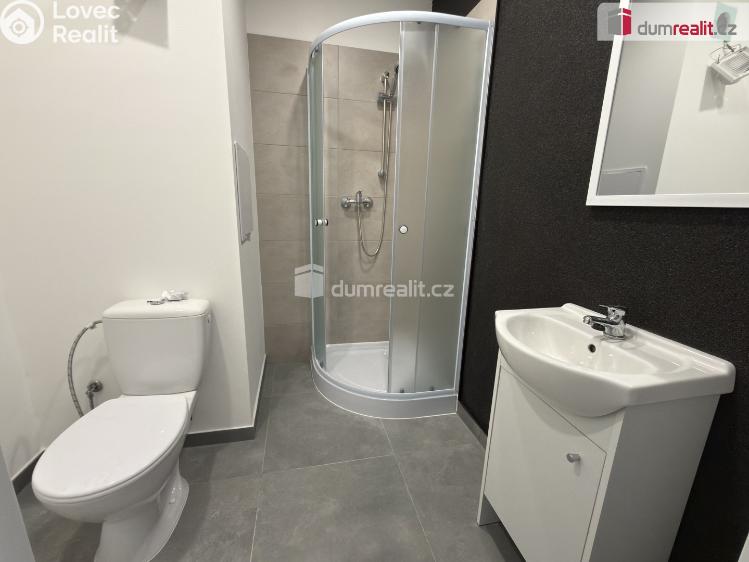 Pronájem bytu 1+KK Ústí nad Labem, Glennova č. 10