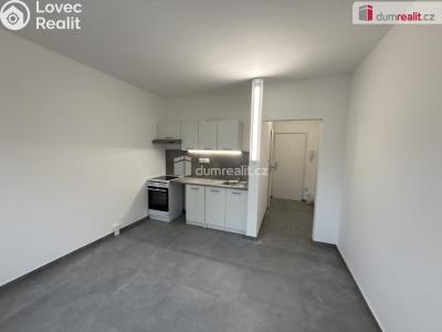 Pronájem bytu 1+KK Ústí nad Labem, Glennova č. 1