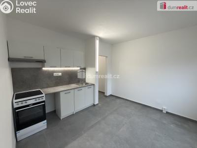 Pronájem bytu 1+KK Ústí nad Labem, Glennova č. 3