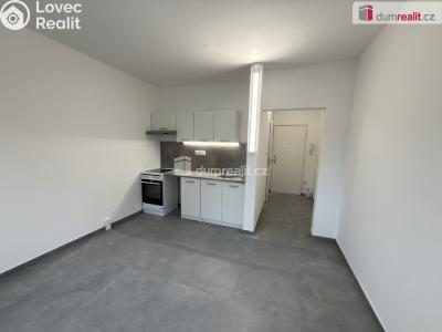 Pronájem bytu 1+KK Ústí nad Labem, Glennova č. 4