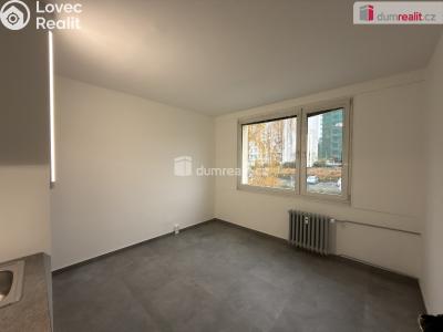 Pronájem bytu 1+KK Ústí nad Labem, Glennova č. 5