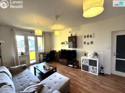 Pronájem bytu 2+1 Praha 4, Olbrachtova č. 3