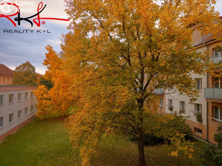 Pronájem bytu 2+1 Mělník, nám. Gen. Swierczewského č. 12