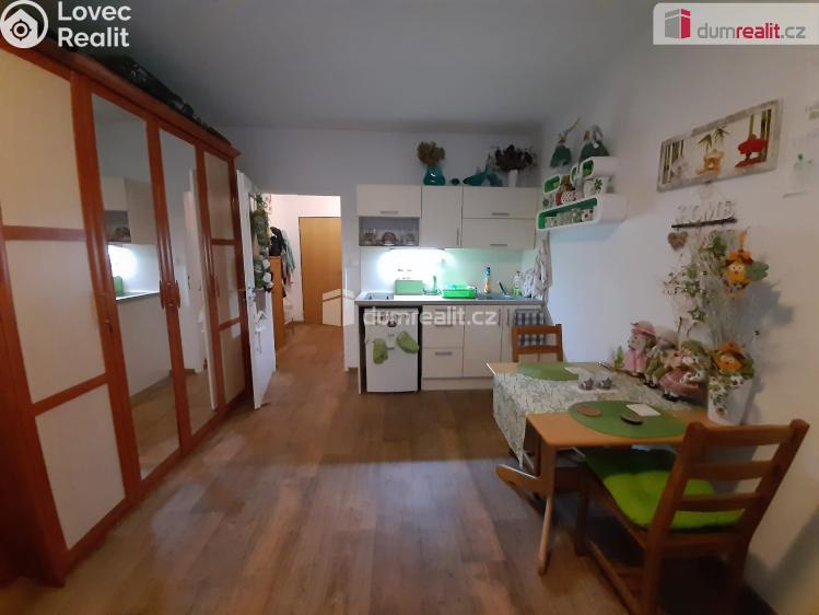 Pronájem bytu 1+KK Luhačovice, Leoše Janáčka č. 18