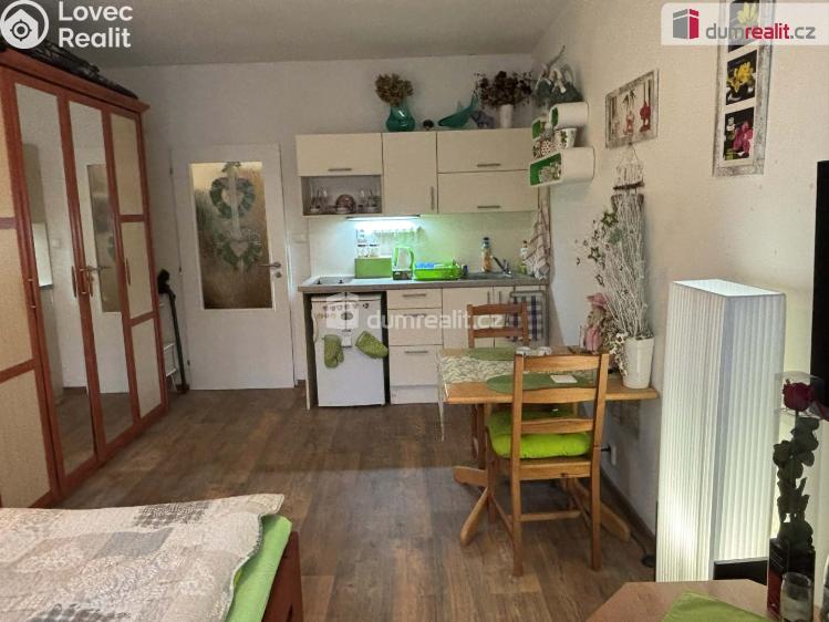 Rent apartment 1+KK Luhačovice, Leoše Janáčka č. 20