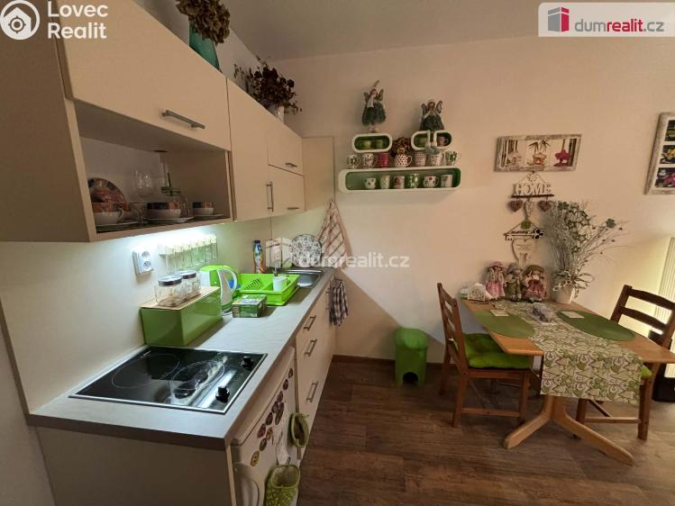 Pronájem bytu 1+KK Luhačovice, Leoše Janáčka č. 3