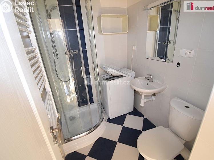 Pronájem bytu 1+KK Praha 5, Nad Palatou č. 4