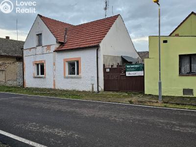 Продаж сімейного будинку Peruc č. 2