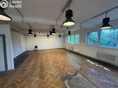 Pronájem skladového prostoru Praha, Bystrá č. 3