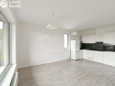 Rent apartment 2+KK Praha, Strnadových č. 5
