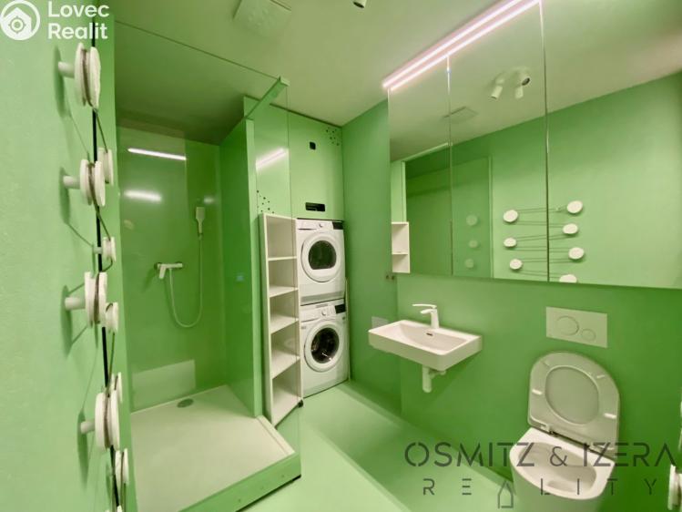 Pronájem rodinného domu Ždírec nad Doubravou, Průmyslová 509 č. 7