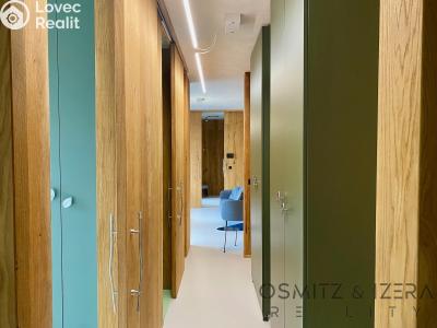 Pronájem rodinného domu Ždírec nad Doubravou, Průmyslová 509 č. 5