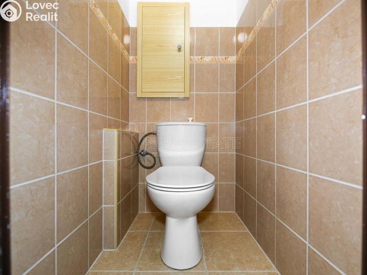 Prodej bytu 3+1 Planá, Fučíkova č. 4