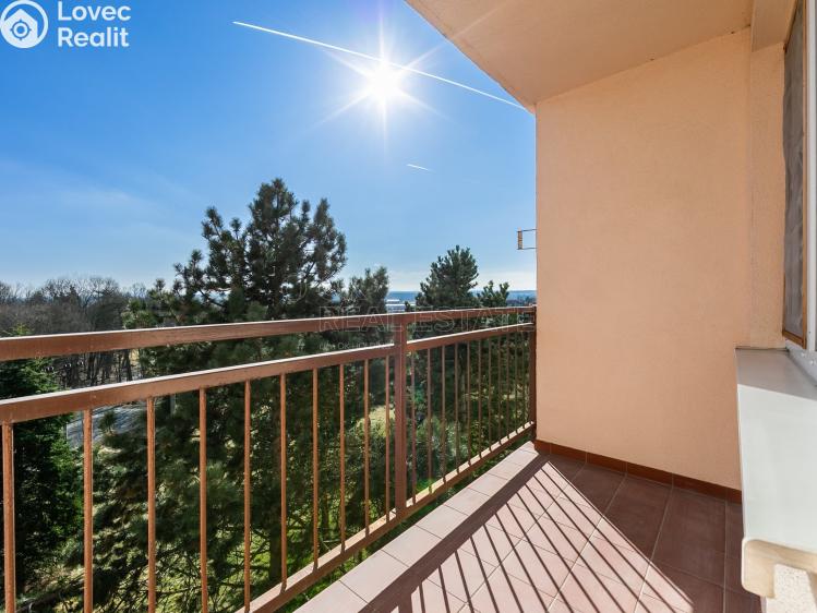 Prodej bytu 3+1 Planá, Fučíkova č. 13