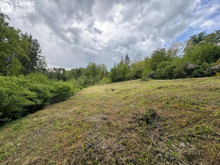 Prodej rodinného domu Úžice č. 9