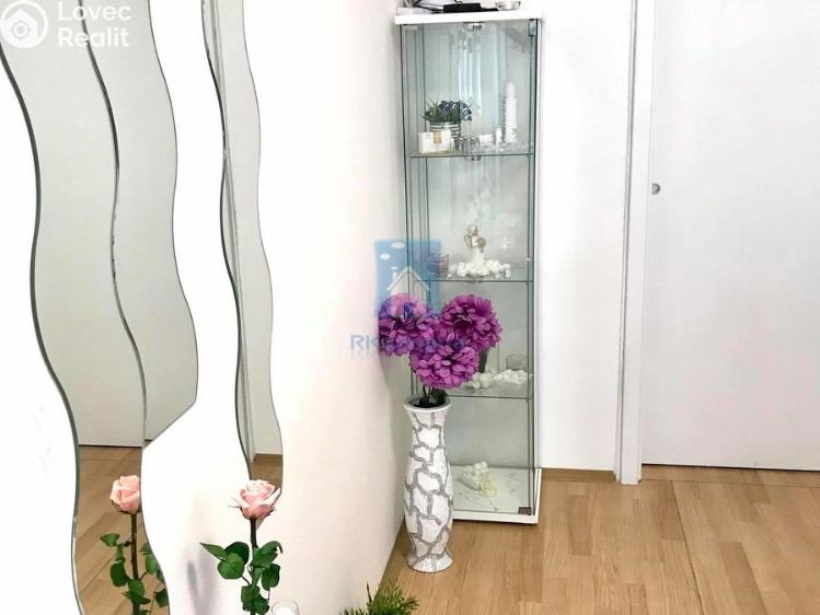 Pronájem komerční nemovitosti Praha, Ostrovského č. 6