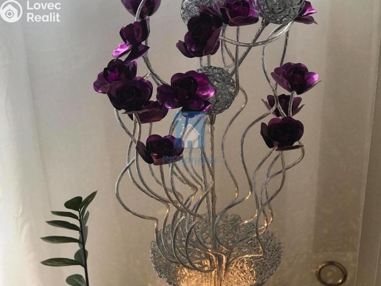 Pronájem komerční nemovitosti Praha, Ostrovského č. 8