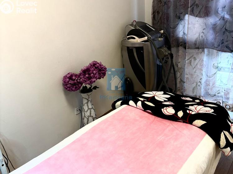 Pronájem komerční nemovitosti Praha, Ostrovského č. 12