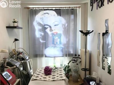 Pronájem komerční nemovitosti Praha, Ostrovského č. 3