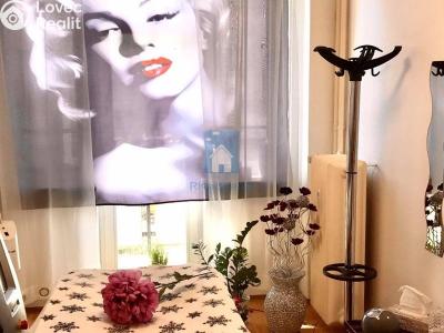 Pronájem komerční nemovitosti Praha, Ostrovského č. 4