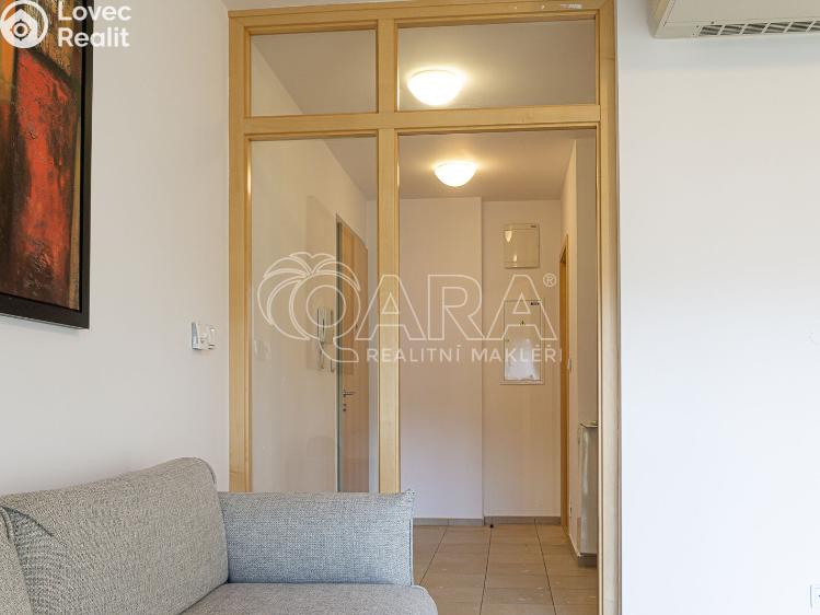 Pronájem bytu 2+KK Praha, Vodičkova 710/31 č. 3