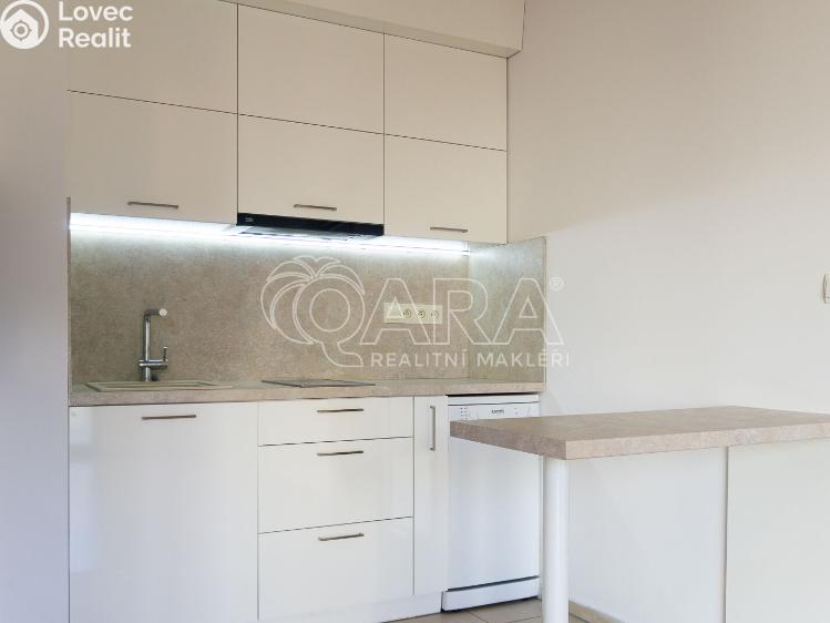 Pronájem bytu 2+KK Praha, Vodičkova 710/31 č. 6