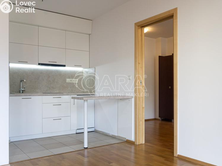 Pronájem bytu 2+KK Praha, Vodičkova 710/31 č. 7