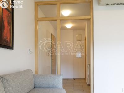 Оренда квартири 2+KK Praha, Vodičkova č. 3