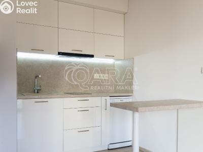 Оренда квартири 2+KK Praha, Vodičkova č. 6