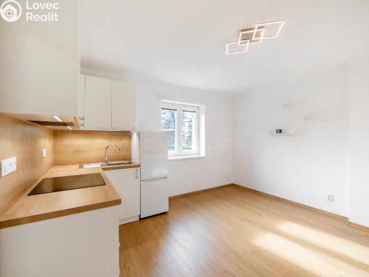 Pronájem bytu 2+KK Planá, Wolkerova č. 3