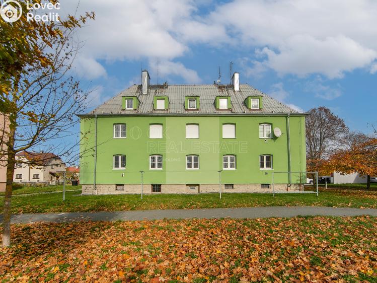 Pronájem bytu 2+KK Planá, Wolkerova č. 12