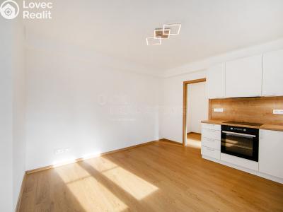 Pronájem bytu 2+KK Planá, Wolkerova č. 2