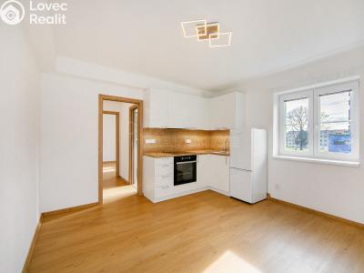 Pronájem bytu 2+KK Planá, Wolkerova č. 1
