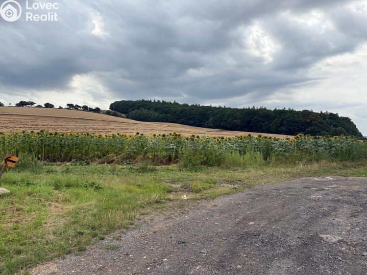 Prodej rodinného domu Kroměříž č. 8