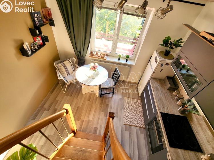 Prodej bytu 1+1 Starý Plzenec, Herejkova 1013 č. 10