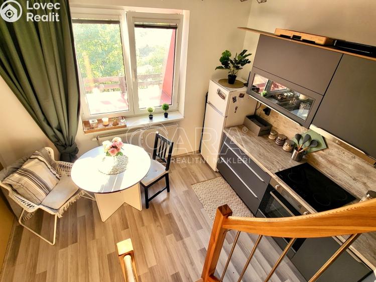 Prodej bytu 1+1 Starý Plzenec, Herejkova 1013 č. 11