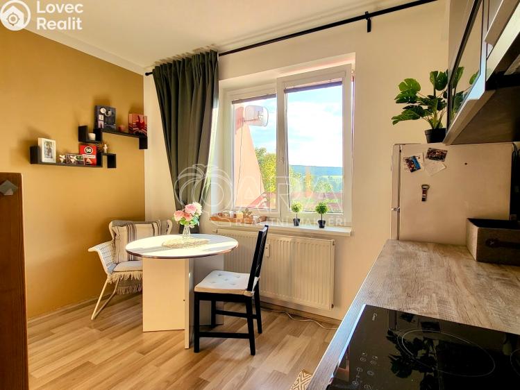 Prodej bytu 1+1 Starý Plzenec, Herejkova 1013 č. 12