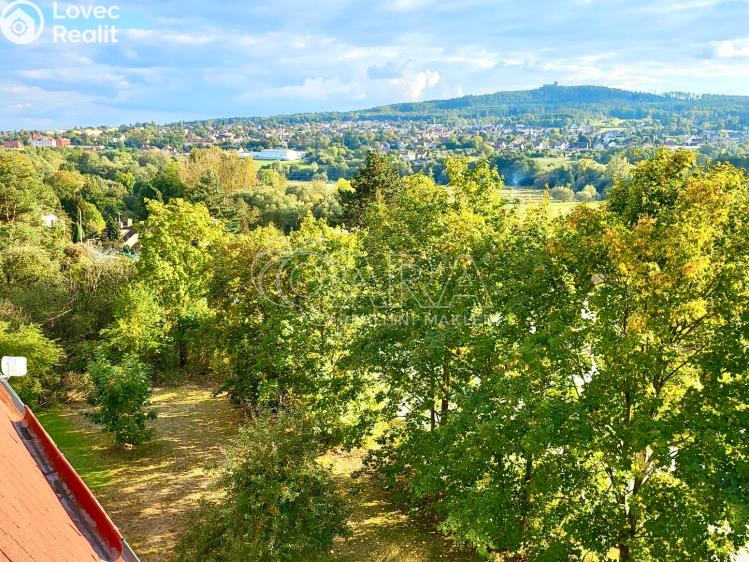 Prodej bytu 1+1 Starý Plzenec, Herejkova 1013 č. 15