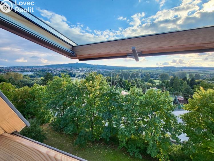 Prodej bytu 1+1 Starý Plzenec, Herejkova 1013 č. 24