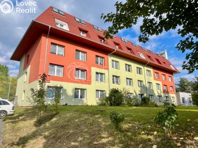 Продажа квартиры 1+1 Starý Plzenec, Herejkova 1013 č. 1